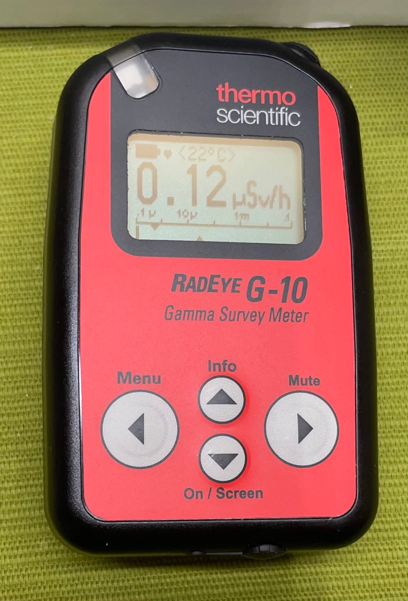 Thermo Scientific RadEye G-10 Portable Dose and Dose Rate Meter